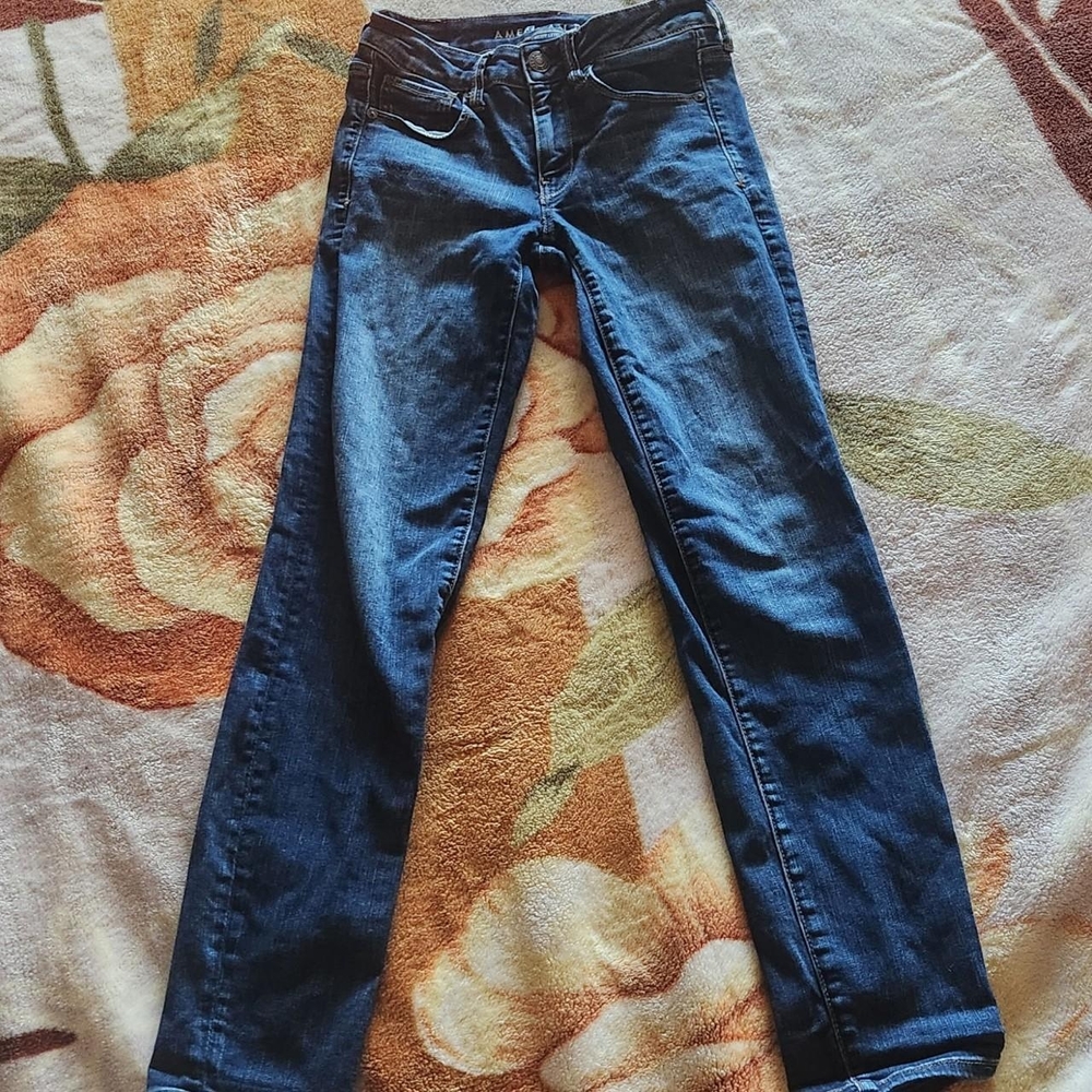 American Eagle Outfitters Blue Flare Wide Leg Jeans